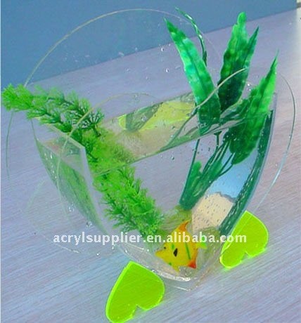 modern acrylic fish tank in elegant style