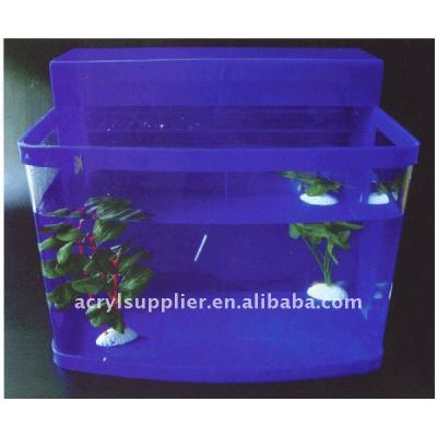 acrylic fish tank in home and garden of arowana fish