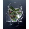 Acrylic fish tanks-High quality acrylic