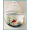 Ball-shape blue acrylic aquarium fish tank for office