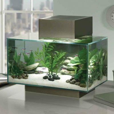 2012 acylic aquarium