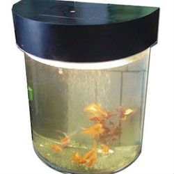 2012 acylic aquariums