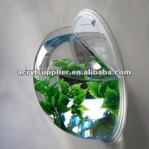 mini wall mounted half sphere shape acrylic fish tank/aquarium