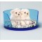 arcylic pet bed dog/cat beds holder
