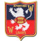 Football team embroidery arm badge