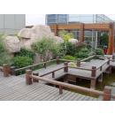 Splinter free terrace wpc