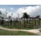 pergola materials--Huasu WPC
