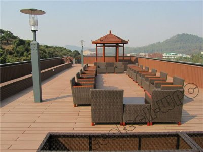 anti-aging and care free timber wpc decking