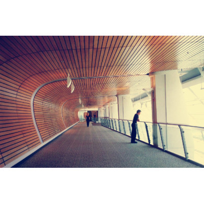 wpc interlocking wall panel/wpc outdoor cladding