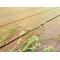 Mix color capped wood plastic composite decking