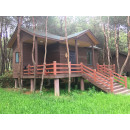 Leisure wpc wooden house