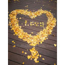 Rot proof wood plastic composite decking