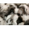 Shadow Fox fur blanket black and white B019