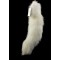 White Fox Tail Fur Bag Hanging White Fox Fur Keychain White Fox Fur Key Ring White Fox Tail Fur K08