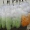 Fox Fur Fox Tail (really natural fox fur) use for bag hanging or keychain T18