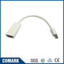 Mini Display Port adapter