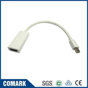 Mini Display Port adapter