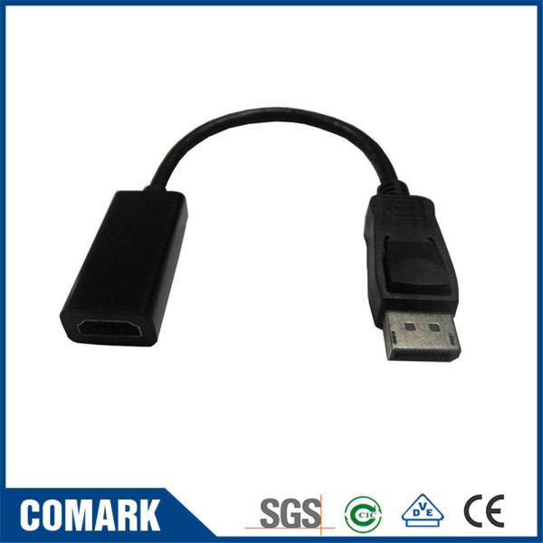 DisplayPort adaptor