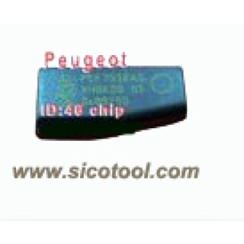 Peugeot ID46 Chip