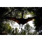 Flying Pterosaur Animatronics
