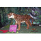 Animatronics Products of Tiger