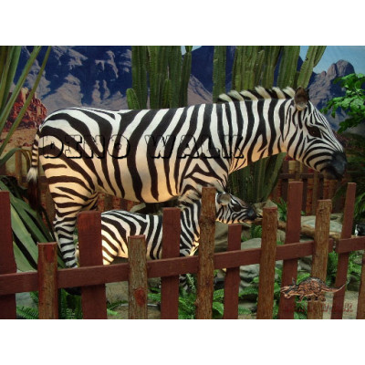 Animatronic Zebra