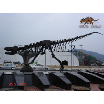 T-Rex Fossil