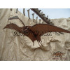 Pterosaur Fossil