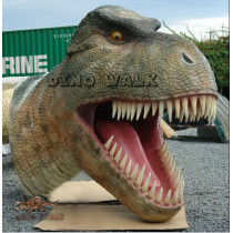 Tyrannosaurus Rex Head