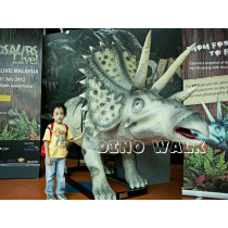 Dinosaurs Alive Exhibition