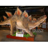 Life Size Stegosaurus Model