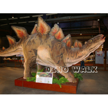 Life Size Stegosaurus Model
