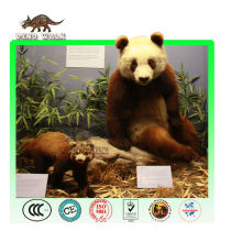 Museum Animatronic Panda Model