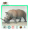 Life Size Animatronic Rhinoceros