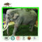 Museum Product Animatronic Elephant