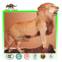 African Animatronic Lion