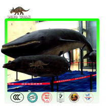 Life Size Animatronic Whale in Museum