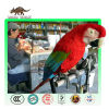 Animatronic Parrot