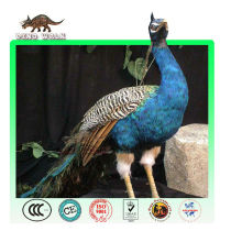 Artificial Peacock Animal Specimen