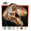 Fiberglass Tyrannosaurus Rex Head