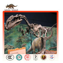 Allosaurus Dinosaur Fossil Model