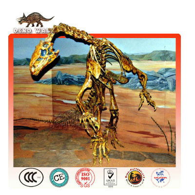 Custom Fiberglass Dinosaur Skeleton