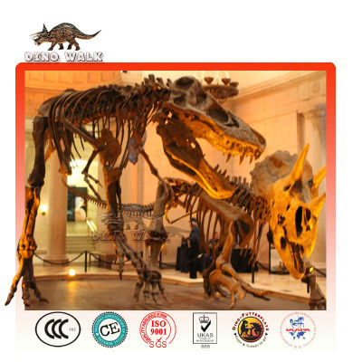 Educational Dinosaur Fossil Replica