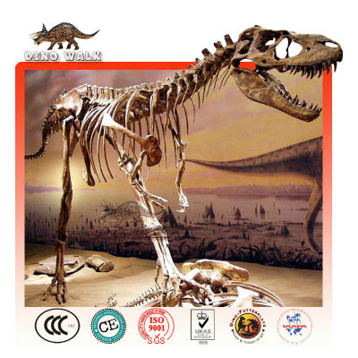 Fiberglass Allosaurus Fossil Replica