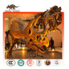 Fiberglass Dinosaur Fossil