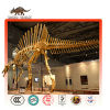 Spinosaurus Skeleton Replica