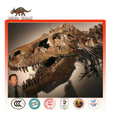 Tyrannosaurus Rex Fossil Replica