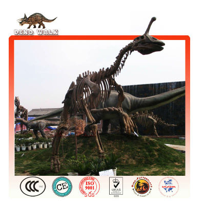 Dinosaur Fossil Replica Exhibition