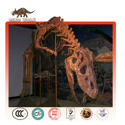 Life Size Dinosaur Skeleton Replica