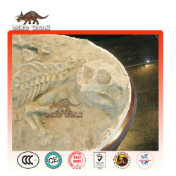 fossiler replik psittacosaurus
